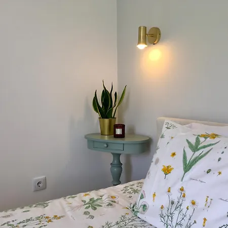 Design No Centro Historico A 30 Min Lisboa 托里什韦德拉什